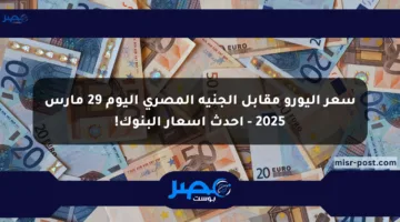 سعر اليورو مقابل الجنيه المصري اليوم 29 مارس 2025 – أحدث أسعار البنوك!